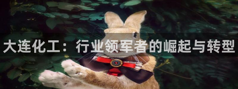 球盟会平台会黑单吗