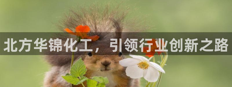 球盟会最新