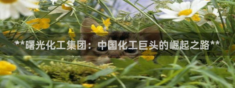 球盟会官网入口