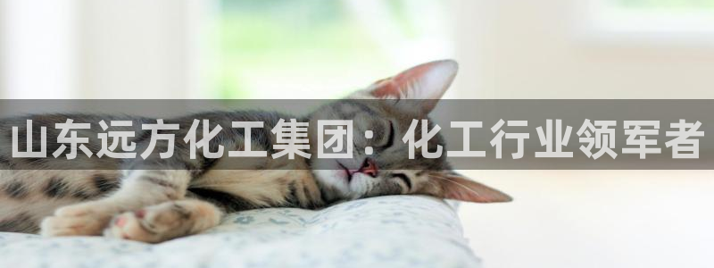 球盟会电子游戏平台