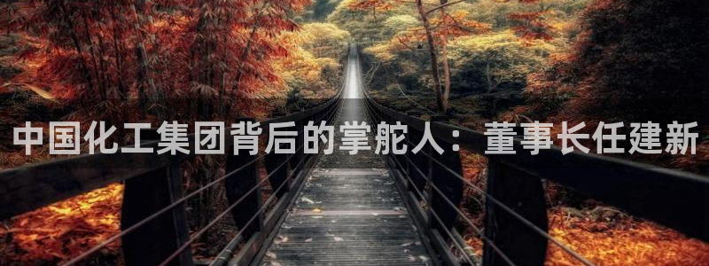 球盟会乐虎