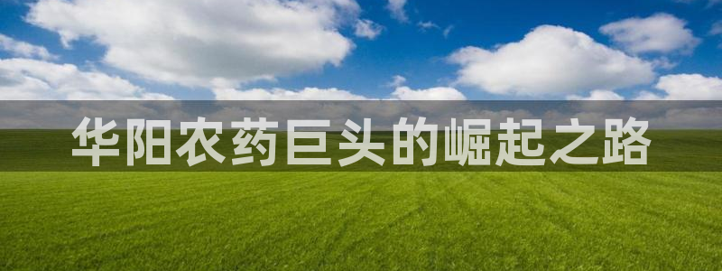 球盟会吧