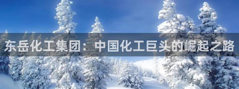 球盟会出款黑了