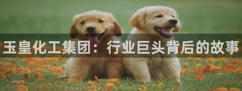 球盟会最新地址备用