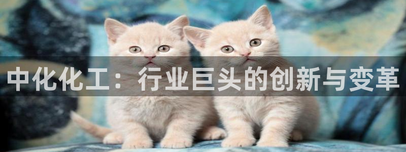 球盟会里面有打牌的嘛知乎