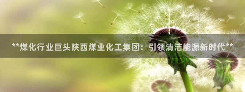球盟会官网：**煤化行业巨头陕西煤业化工集团：引领清洁能源新