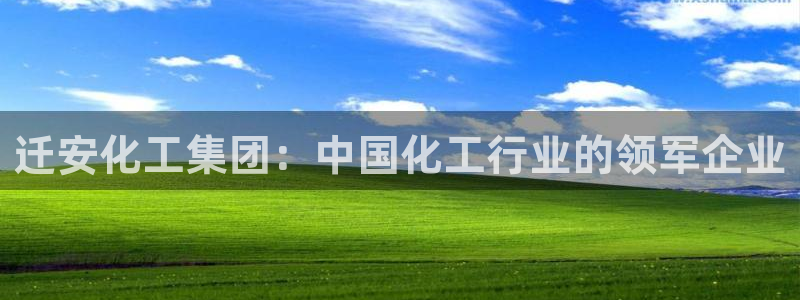 球盟会进不去吗