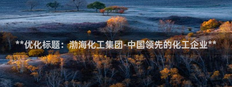 球盟会娱乐平台：**优化标题：渤海化工集团-中国领先的化工企