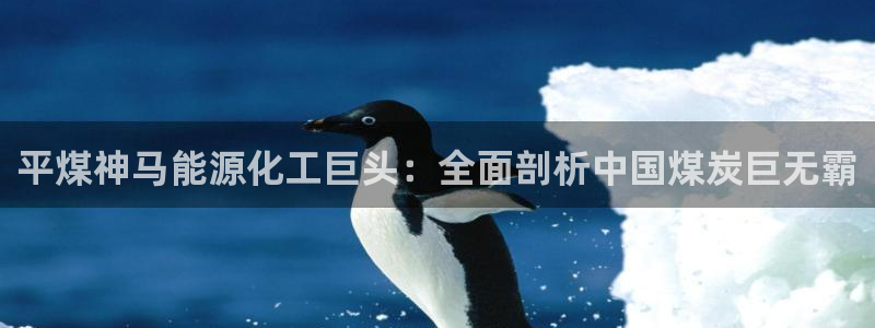 球盟会qm