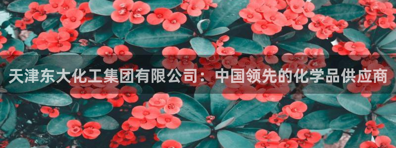 球盟会黑款吗：天津东大化工集团有限公司：中国领先的化学品供应