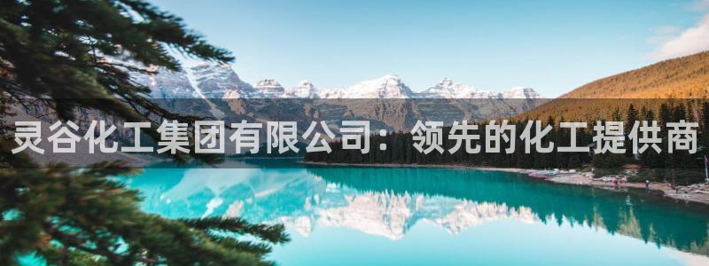 球盟会app网址多少：灵谷化工集团有限公司：领先的化工提供商