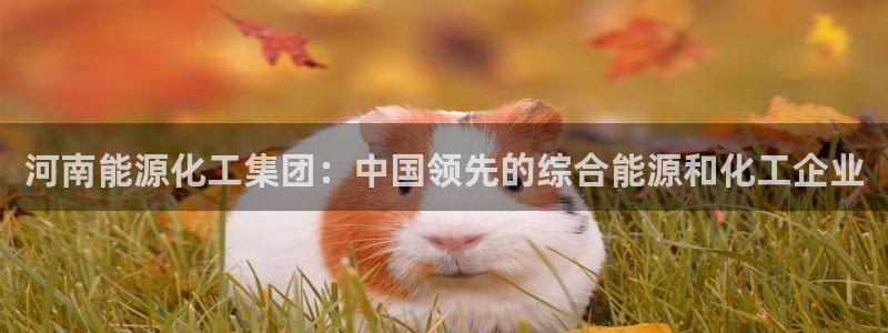球盟会登陆入口：河南能源化工集团：中国领先的综合能源和化工企