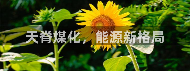 球盟会头号玩家：天脊煤化，能源新格局