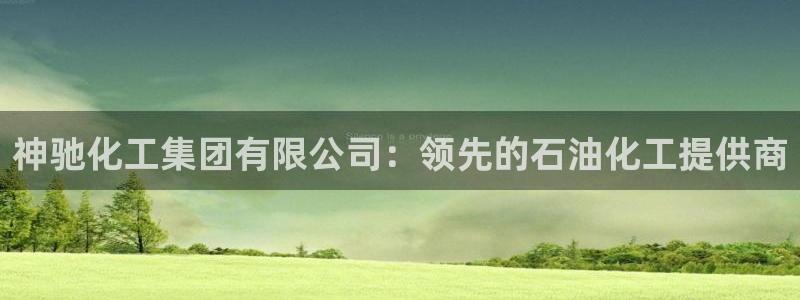 球盟会官方网站是什么：神驰化工集团有限公司：领先的石油化工提