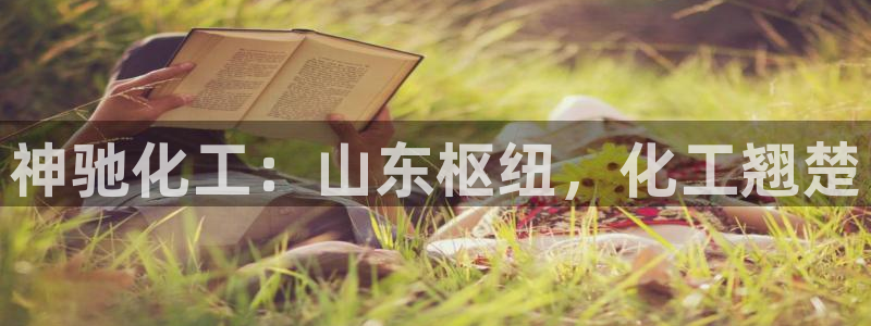 球盟会官方入口：神驰化工：山东枢纽，化工翘楚