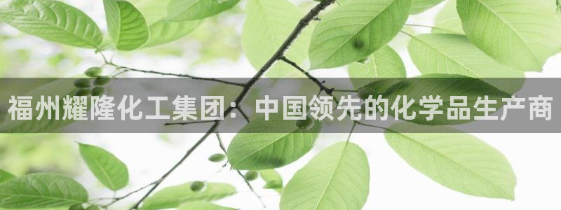 球盟会app最新地址在哪看：福州耀隆化工集团：中国领先的化学