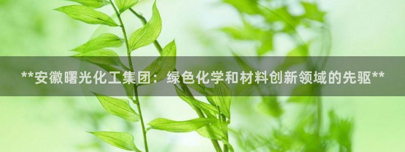 球盟会官方最新入口：**安徽曙光化工集团：绿色化学和材料创新