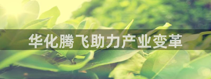 球盟会吧：华化腾飞助力产业变革