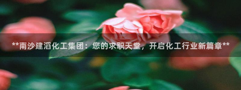 球盟会网页版：**南沙建滔化工集团：您的求职天堂，开启化工行