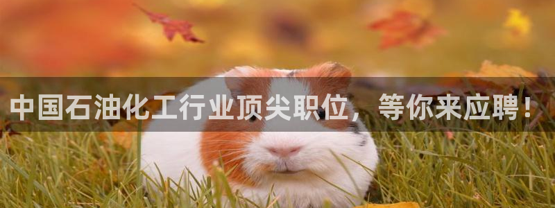球盟会能退钱吗是真的吗