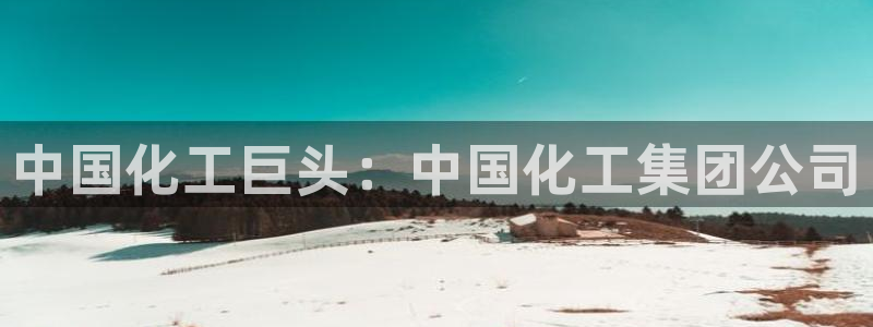球盟会进不去