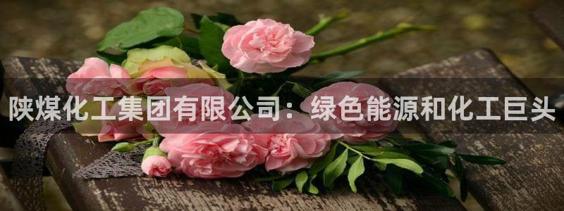 球盟会优惠券：陕煤化工集团有限公司：绿色能源和化工巨头