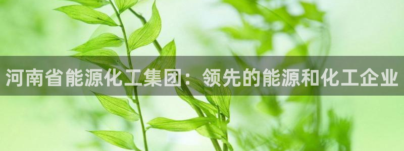 球盟会在线登录官网：河南省能源化工集团：领先的能源和化工企业