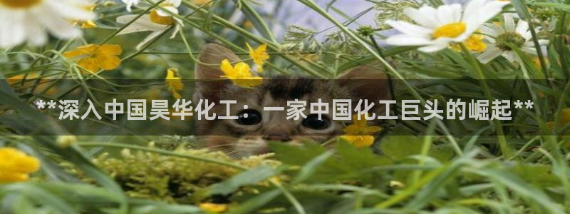 球盟会(中国)官方网站