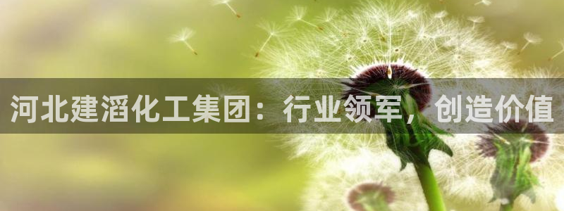 球盟会游戏几点玩合适
