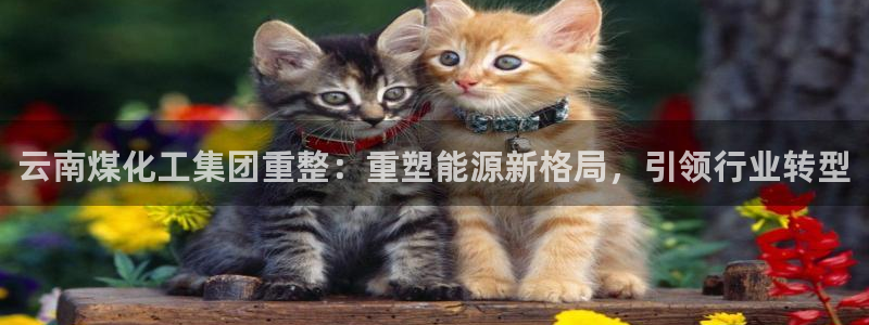 球盟会登录平台：云南煤化工集团重整：重塑能源新格局，引领行业