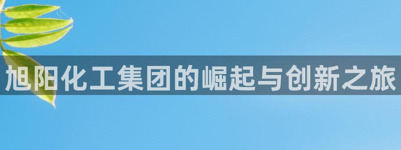 球盟会在线网站