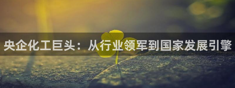 球盟会娱乐平台