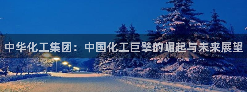 球盟会头号玩家是谁