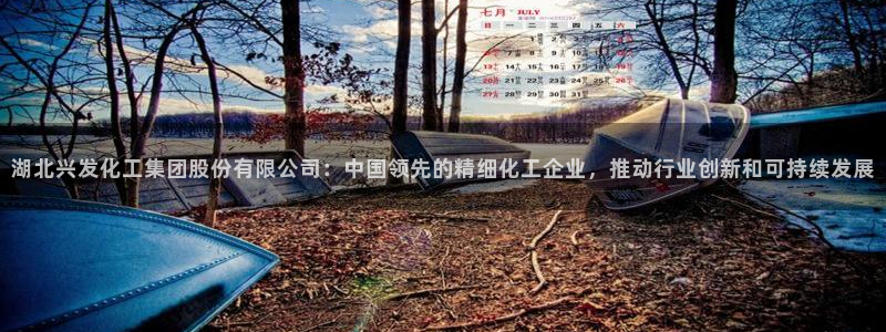 球盟会有没有黑单的人：湖北兴发化工集团股份有限公司：中国领先