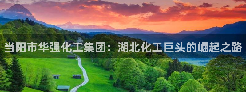 球盟会进不去