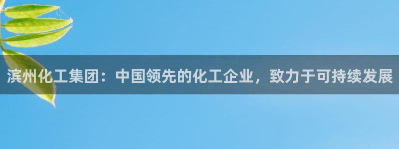 球盟会黑：滨州化工集团：中国领先的化工企业，致力于可持续发展