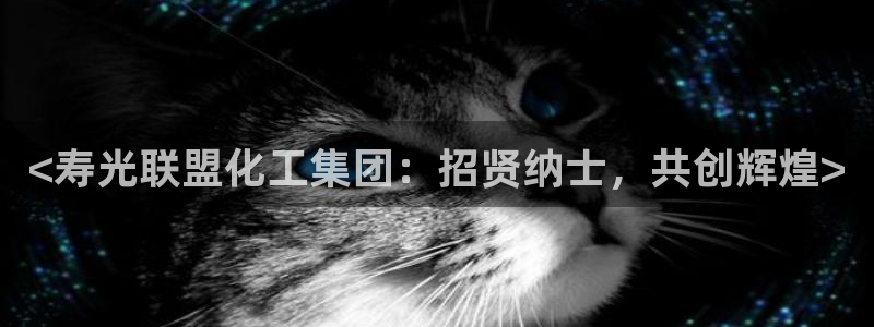 球盟会体育平台