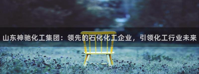 球盟会(中国)官方网站：山东神驰化工集团：领先的石化化工企业