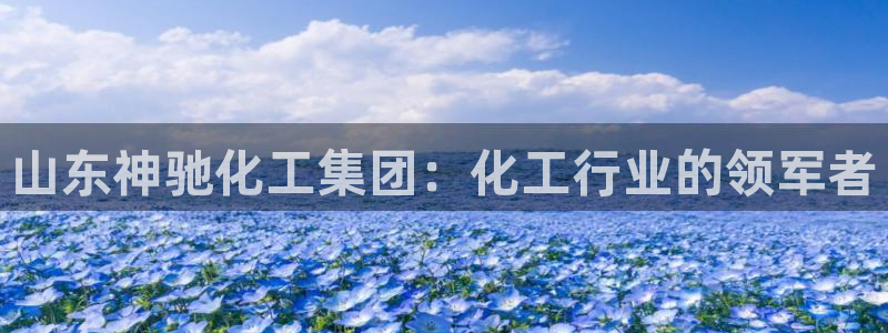 球盟会最新