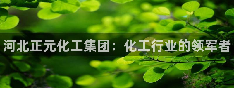 球盟会最新地址备用