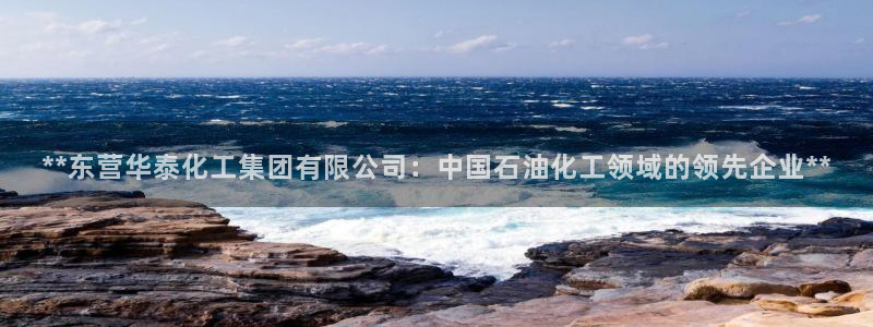 球盟会app最新地址下载：**东营华泰化工集团有限公司：中国