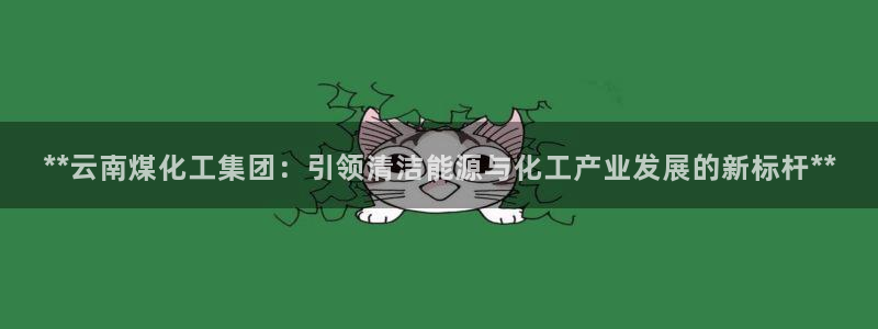 球盟会封禁：**云南煤化工集团：引领清洁能源与化工产业发展的