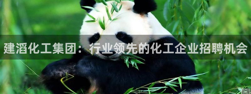 球盟会能提现吗安全吗：建滔化工集团：行业领先的化工企业招聘机