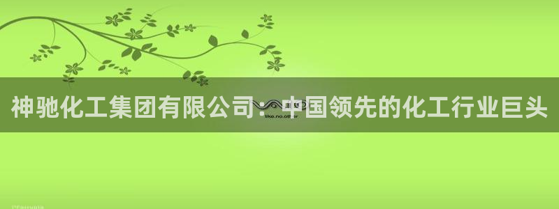 球盟会官方版下载地址：神驰化工集团有限公司：中国领先的化工行