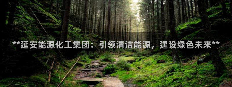球盟会类似的网站：**延安能源化工集团：引领清洁能源，建设绿