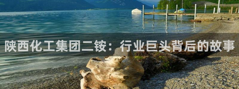 球盟会App