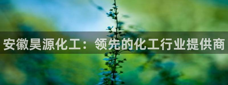 球盟会体育平台：安徽昊源化工：领先的化工行业提供商