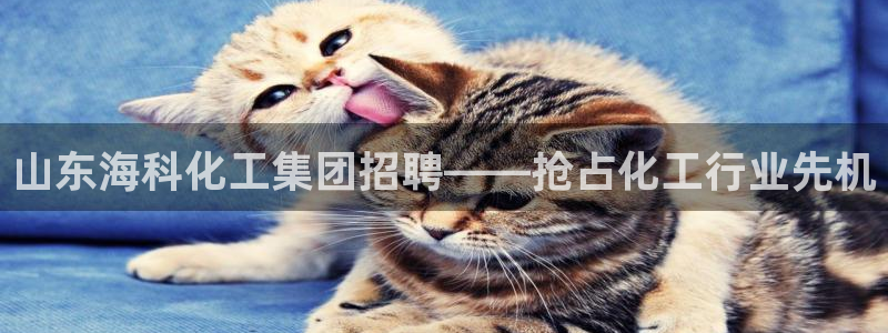 千亿球盟会乐玩