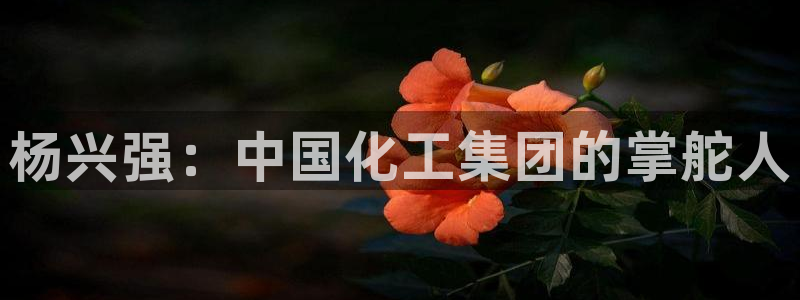 球盟会贴吧