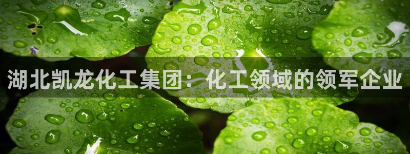 球盟会里面有打牌的嘛是真的吗